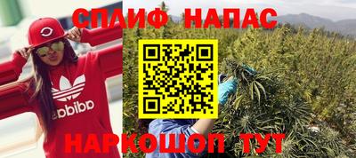 ALPHA PVP Гатчина