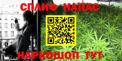 ALPHA PVP Гатчина