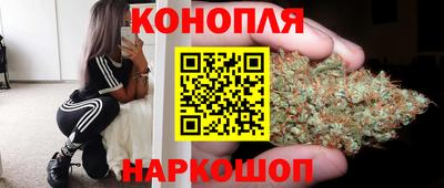 PSILOCYBIN Гай