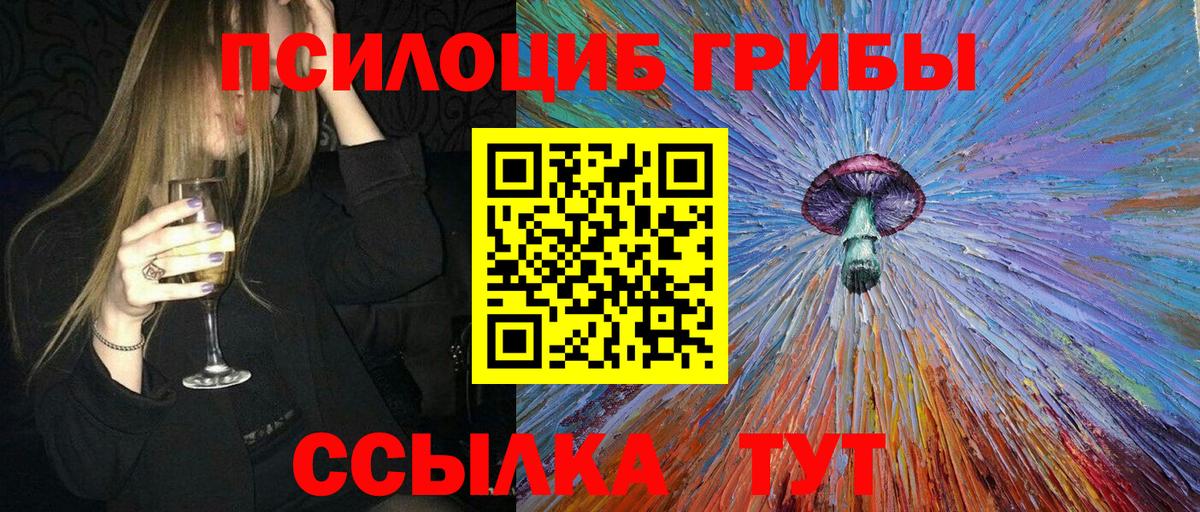 Псилоцибиновые грибы Psilocybe Ревда